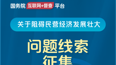 成年视频爽啊啊啊男女国务院“互联网+督查”平台公开征集阻碍民营经济发展壮大问题线索